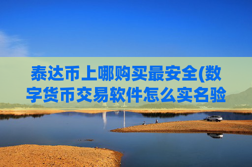 泰达币上哪购买最安全(数字货币交易软件怎么实名验证)