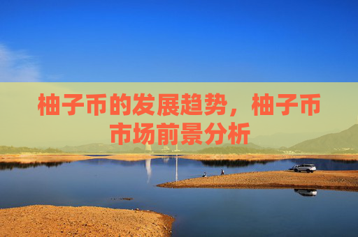 柚子币的发展趋势，柚子币市场前景分析