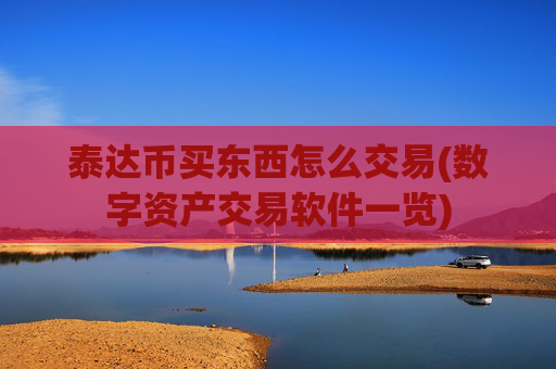 泰达币买东西怎么交易(数字资产交易软件一览)