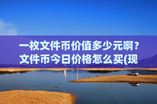 一枚文件币价值多少元啊？文件币今日价格怎么买(现价59.6113元)