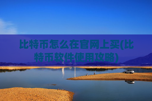 比特币怎么在官网上买(比特币软件使用攻略)