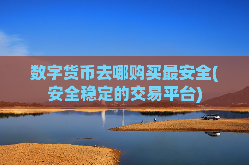 数字货币去哪购买最安全(安全稳定的交易平台)