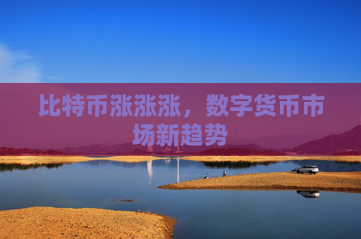 比特币涨涨涨，数字货币市场新趋势