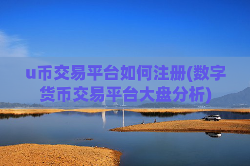 u币交易平台如何注册(数字货币交易平台大盘分析)