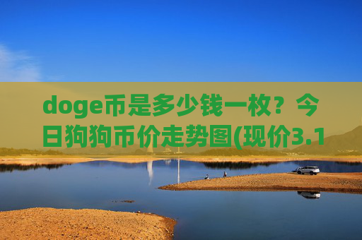 doge币是多少钱一枚？今日狗狗币价走势图(现价3.1249元)