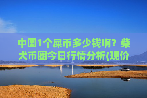 中国1个屎币多少钱啊？柴犬币圈今日行情分析(现价0.00023439元)