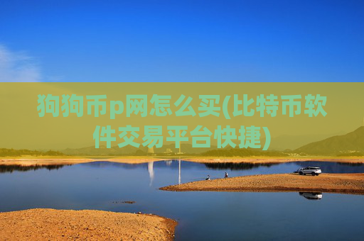 狗狗币p网怎么买(比特币软件交易平台快捷)
