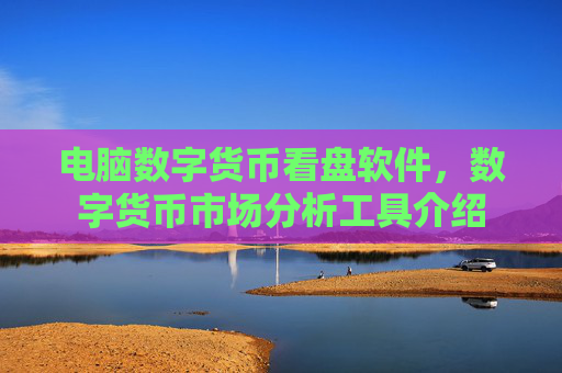 电脑数字货币看盘软件，数字货币市场分析工具介绍
