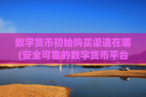 数字货币初始购买渠道在哪(安全可靠的数字货币平台)