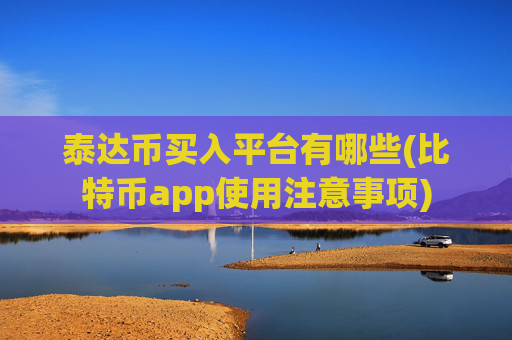 泰达币买入平台有哪些(比特币app使用注意事项)