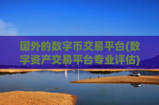 国外的数字币交易平台(数字资产交易平台专业评估)