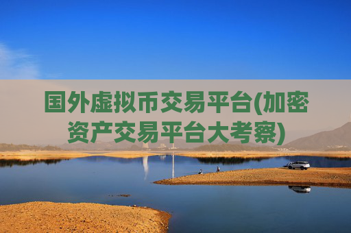 国外虚拟币交易平台(加密资产交易平台大考察)