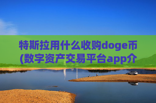 特斯拉用什么收购doge币(数字资产交易平台app介绍)
