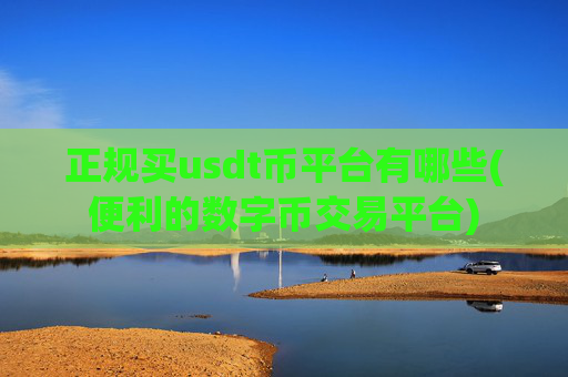 正规买usdt币平台有哪些(便利的数字币交易平台)