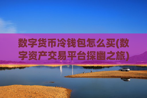 数字货币冷钱包怎么买(数字资产交易平台探幽之旅)