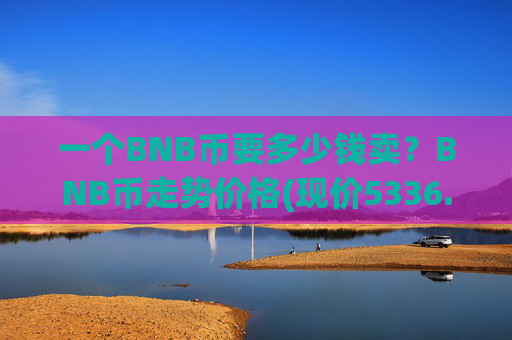 一个BNB币要多少钱卖？BNB币走势价格(现价5336.96元)