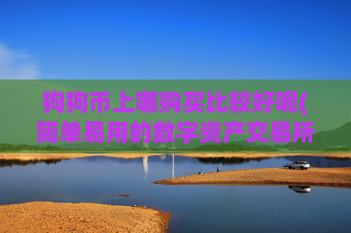 狗狗币上哪购买比较好呢(简单易用的数字资产交易所app)