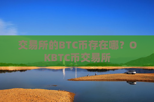 交易所的BTC币存在哪?OKBTC币交易所