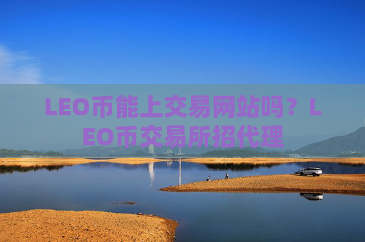 LEO币能上交易网站吗？LEO币交易所招代理