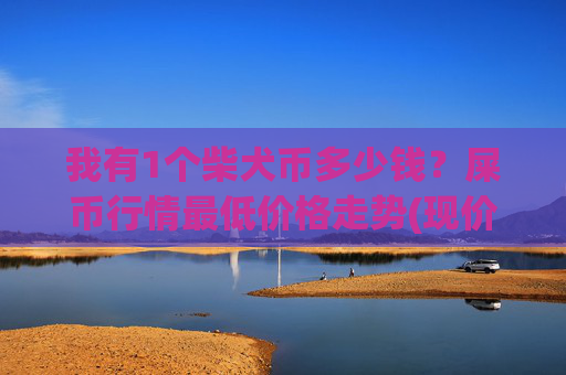 我有1个柴犬币多少钱？屎币行情最低价格走势(现价0.00015858元)
