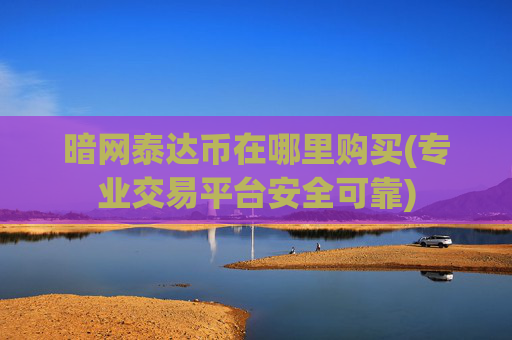 暗网泰达币在哪里购买(专业交易平台安全可靠)
