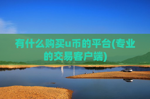 有什么购买u币的平台(专业的交易客户端)