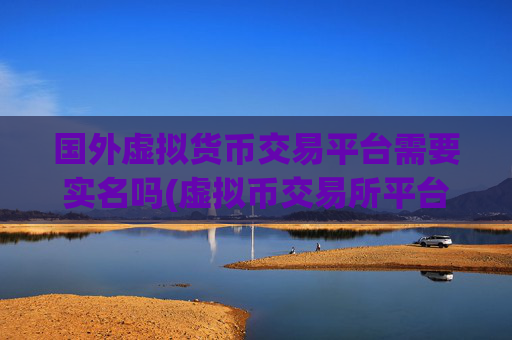 国外虚拟货币交易平台需要实名吗(虚拟币交易所平台大全)