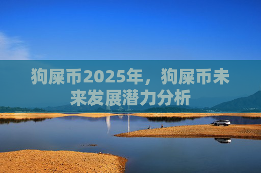 狗屎币2025年，狗屎币未来发展潜力分析