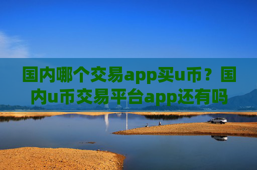 国内哪个交易app买u币？国内u币交易平台app还有吗