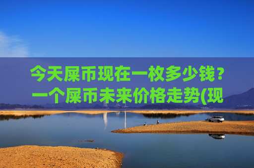 今天屎币现在一枚多少钱？一个屎币未来价格走势(现价0.00022174元)