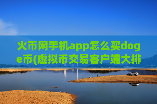 火币网手机app怎么买doge币(虚拟币交易客户端大排名)