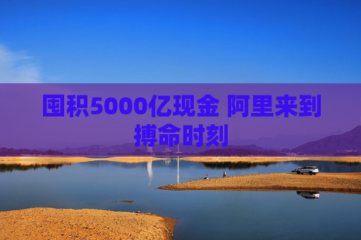 囤积5000亿现金 阿里来到搏命时刻