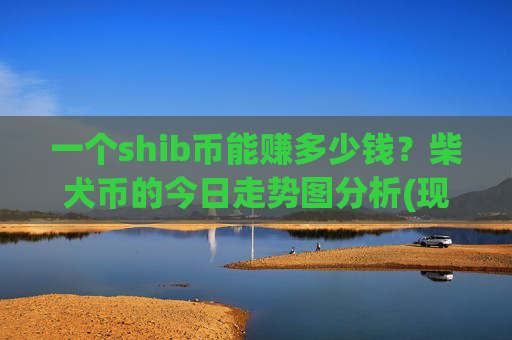 一个shib币能赚多少钱？柴犬币的今日走势图分析(现价0.00015931元)