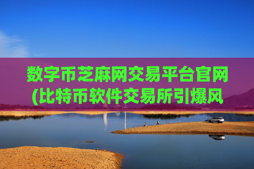 数字币芝麻网交易平台官网(比特币软件交易所引爆风口)