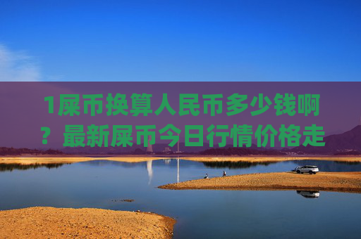 1屎币换算人民币多少钱啊?最新屎币今日行情价格走势图(现价0.00015727元)