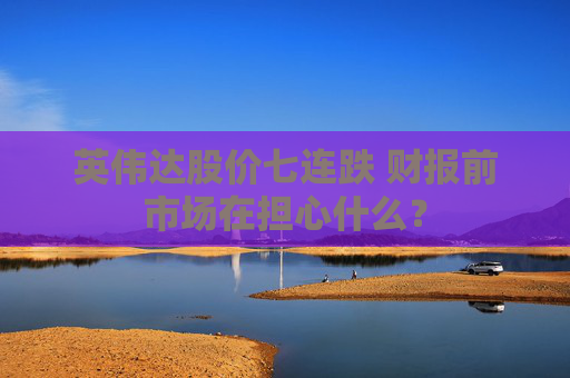 英伟达股价七连跌 财报前市场在担心什么？