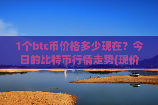 1个btc币价格多少现在？今日的比特币行情走势(现价709966.43元)