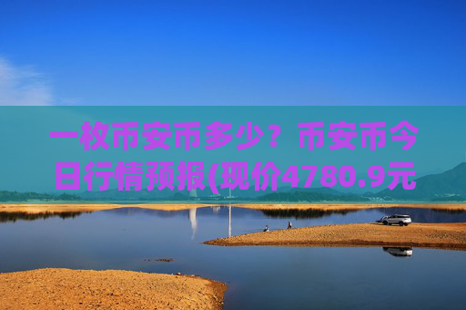 一枚币安币多少？币安币今日行情预报(现价4780.9元)