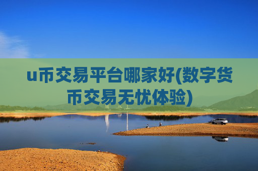 u币交易平台哪家好(数字货币交易无忧体验)