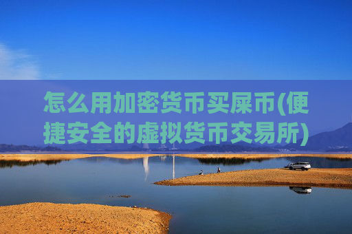 怎么用加密货币买屎币(便捷安全的虚拟货币交易所)