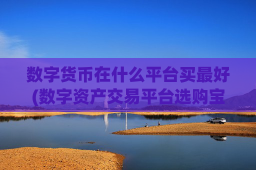 数字货币在什么平台买最好(数字资产交易平台选购宝典)