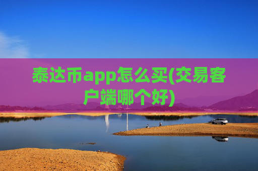 泰达币app怎么买(交易客户端哪个好)