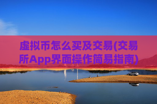 虚拟币怎么买及交易(交易所App界面操作简易指南)