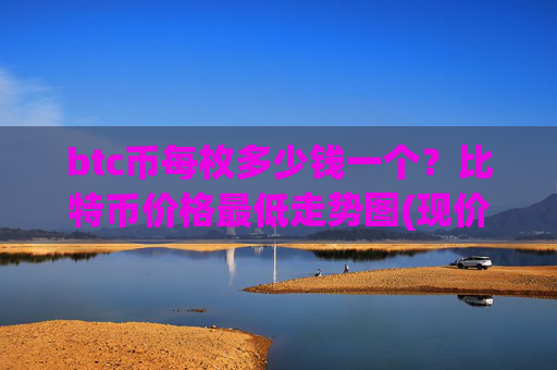 btc币每枚多少钱一个？比特币价格最低走势图(现价718562.81元)