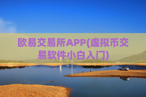 欧易交易所APP(虚拟币交易软件小白入门)