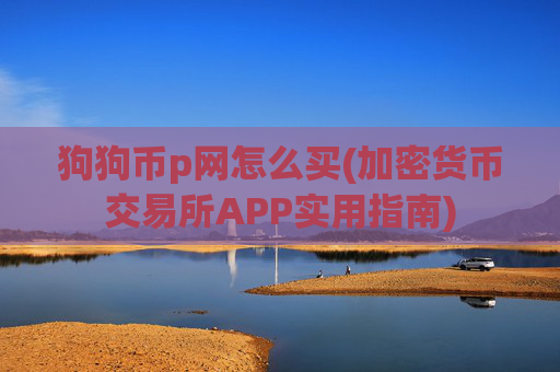 狗狗币p网怎么买(加密货币交易所APP实用指南)