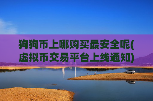 狗狗币上哪购买最安全呢(虚拟币交易平台上线通知)