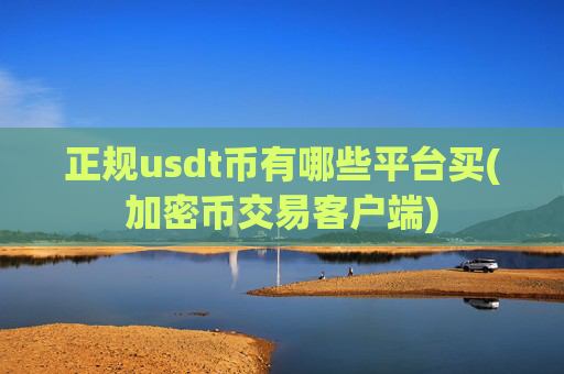 正规usdt币有哪些平台买(加密币交易客户端)