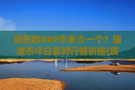 现在的XRP币多少一个？瑞波币今日实时行情价格(现价17.2167元)