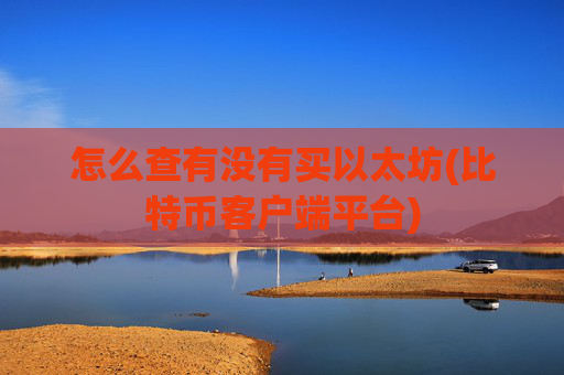 怎么查有没有买以太坊(比特币客户端平台)